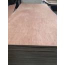 Non faced Plywood Sheets 3mm 8ft x 4ft