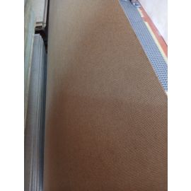 Lion hard board image 1