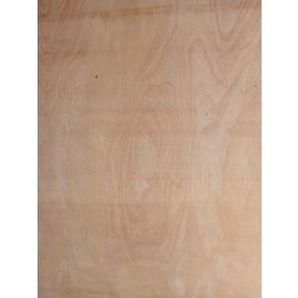 Local Non Faced Plywood sheet