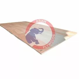 China Plywood Image 1