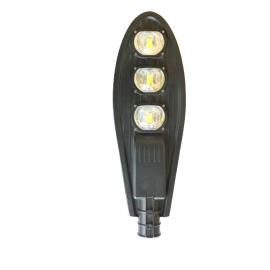 Cobra Street Light