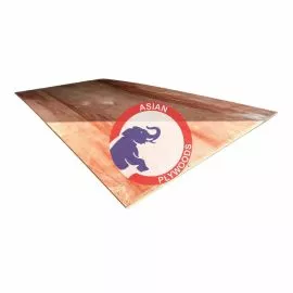 Indian Plywood Image 1