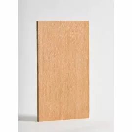 Plywood Door Image 1