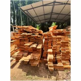 Red Lunumidella planks image 1