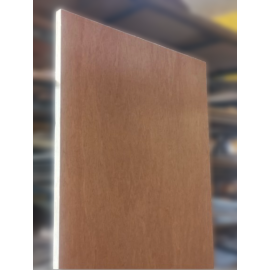 Normal Plywood 7*3 door